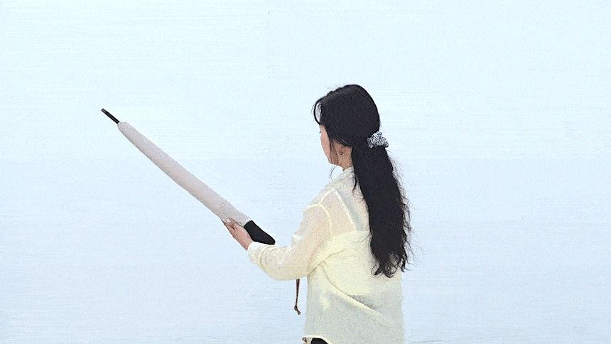 2025090513161250909b1.gif