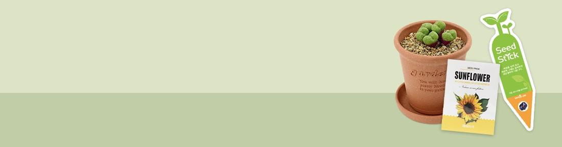 �Ĺ� ��ȹ��