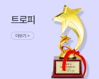 Ʈ���� ���˹� ���� | ����Ʈ����