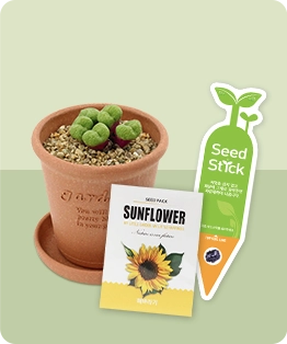 HOT! ISSUE ITEM �ʱ�� ��ȹ��