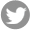 ±âÇÁÆ®ÀÎÆ÷ twitter