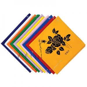 Àå¹Ì½ºÄ«ÇÁ (480*480mm)