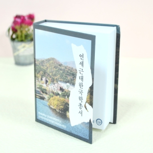 Çϵå¾çÀå-Áß (100¸Å)