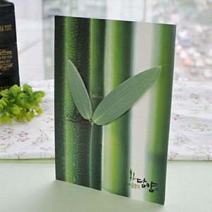 ¸ð¾çÇüÁ¡Âø¸Þ¸ð_´ã¾ç (106*150mm)