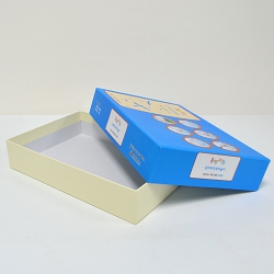 Ä®¶ó½Î¹Ù¸® »óÇϹڽº_À½¾ÇÁö´É (250*200*50mm)