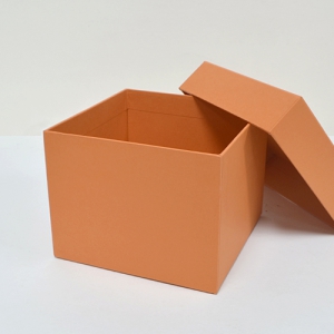 Ä®¶ó¹Ú½º_ÁÖȲ (160*160*120mm)