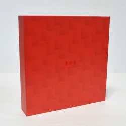 ½Î¹Ù¸®¹Ú½º_ºñþÇâ (265*265*53mm)