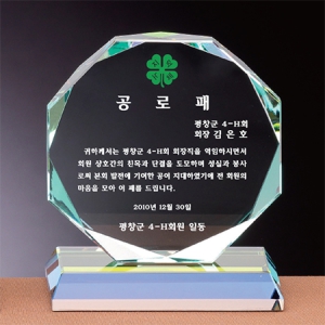 ±×¸° Å©¸®½ºÅ» ¹Þħ´ë (13x5x14)