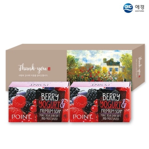 ¾Ö°æÆ÷ÀÎÆ® º£¸®¿ä°ÅÆ® ºñ´© 2P (126x100x35mm)