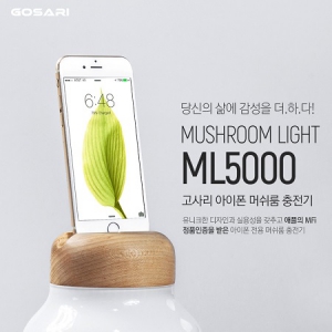 °í»ç¸® ¾ÆÀÌÆù 8ÇÉ Àü¿ë ¹«µåµî 5000mAh ÃæÀü °ÅÄ¡´ë ML5000