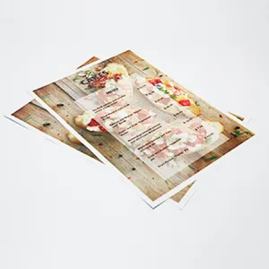 ��������(������/���80g) (210*297mm)