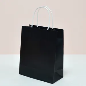 [�ֹ�����] �ڵ����ι�_���� (210x100x255mm)