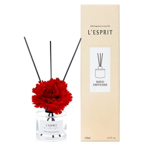 ·¹½º»Ú¸® µðÇ»Àú ·ÎÁîÆË Ä«³×ÀÌ¼Ç 120ml
