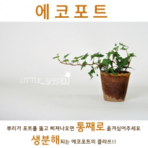 ¸®Æ²°¡µç¿¡ÄÚÆ÷Æ® (8*8*8cm)