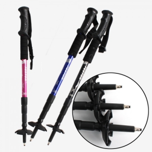 ÆÐ½ºÅæ 4´Üµî»ê½ºÆ½