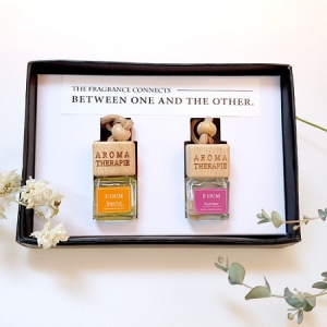 ÀÌÀ½Â÷·®¿ëµðÇ»Àú5ml-2p (16.5*11*3cm)