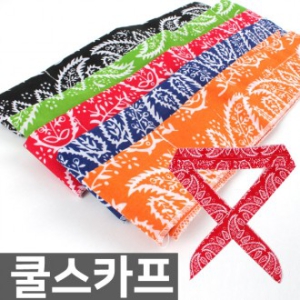 Äð½ºÄ«ÇÁ ÆäÀÌÁñ