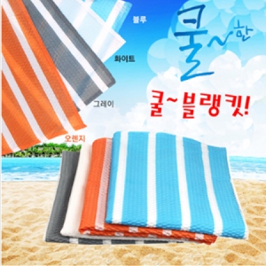 Äðºí·©Å¶-¿©¸§´ã¿ä (90*75cm¸¸ °¡´É)