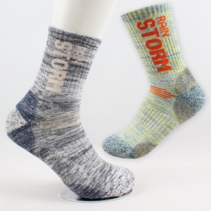 ·¹ÀνºÅè µî»ê¾ç¸» Àå¸ñ