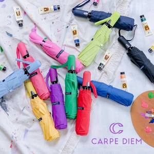 Ä«¸£Æäµð¿¥ ½º¸¶Æ® °æ·® 3´Ü¿ÏÀüÀÚµ¿¿ì»ê-S008 (55cm)