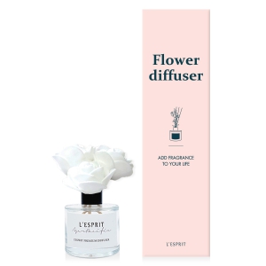 (Â÷·®¿ë) ·¹½º»Ú¸® µðÇ»Àú ·ÎÁîÆË 50ml