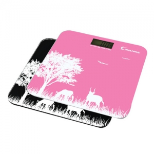 µðÁöÅÐüÁß°è(1070)