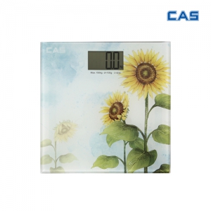 Ä«½º µðÁöÅРüÁß°è (HE-34)