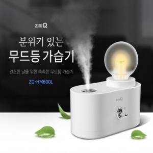 Áö´ÏÅ¥ ZQ-HM600L ÈÞ´ë¿ë ¹«¼± LED °¡½À±â 350ml