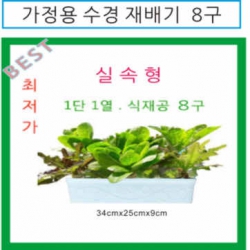 ¼ö°æ Àç¹è±â