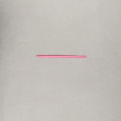 ±îÆä ½ºÆ½15cm ·¹µå/¹úÅ©