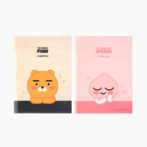 īī¿ÀÇÁ·»Áî ÅõÆ÷ÄÏ ÆÄÀÏ (230*310mm)