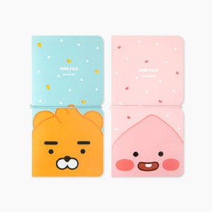 īī¿ÀÇÁ·»Áî ¸®Æ²ÇÁ·»Áî ¹Ì´ÏÆÄÀÏ (120*225mm)