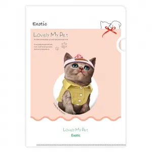 LȦ��_������������_No.11_����ƽ