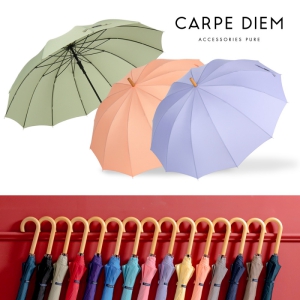 Ä«¸£Æäµð¿¥ ½º¸¶Æ® 60*12K ¿ìµå°îÀÚ Àå¿ì»ê (S011)