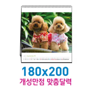 [����-�ֹ�����]Ź��180x200ī����