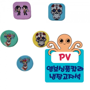 PV-¿¥º¸½ÌǮĮ¶ó ³ÃÀå°íÀÚ¼®
