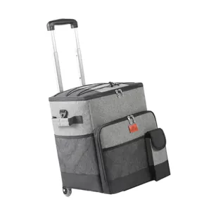 ������ ĳ���� ķ�� �̵��� ���ð��� �𷯹�