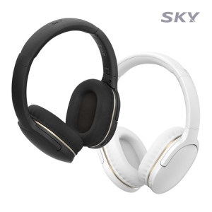 ½ºÄ«ÀÌ ÇÍ H2 ºí·çÅõ½º ¹«¼± Çìµå¼Â