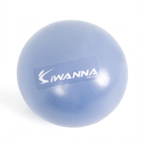 ¹Ì´Ï Áüº¼ 25cm