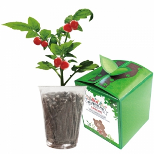 Å丶Åä ¹Ì´ÏÇöó¿ö°¡µç