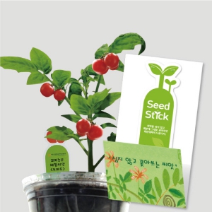 Å丶Åä ¾¾µå½ºÆ½ Ä«µåÇü