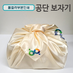 ºÎºÐÄ÷¯Àμ⠰ø´Ü º¸ÀÚ±â