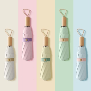 ÆÄ½ºÅÚ ¿ìµå 3´Ü ¾ç¿ì»ê(UPF 50+)