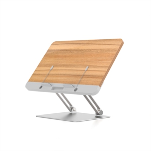 ÇÁ¸®¹Ì¾ö µ¶¼´ë ÅÂºí¸´ ·¦Å¾ °ÅÄ¡´ë BS-2 (445*295*70mm)