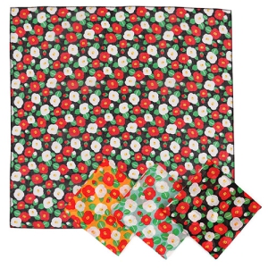 °¡Á¦½ºÄ«ÇÁ µ¿¹é (530x530mm)