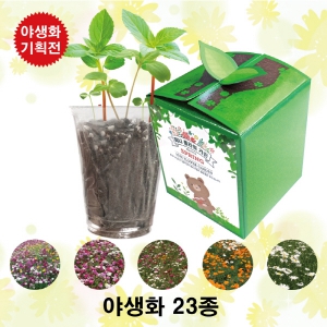 ¾ß»ýÈ 23Á¾ ¹Ì´ÏÇöó¿ö°¡µç