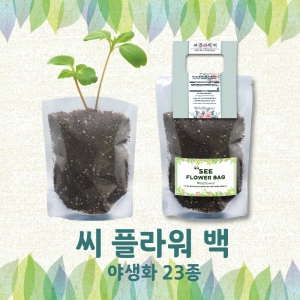 ¾¾Çöó¿ö¹é ¾ß»ýÈ 23Á¾