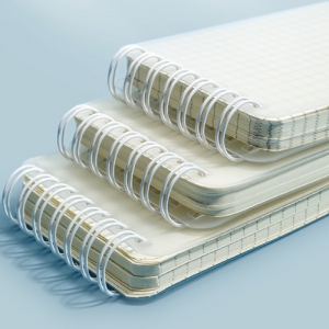 Åõ¸í½ºÇÁ¸µ¼öø