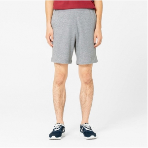 Å׸®(Â鸮) ÇÏÇÁ ÆÒÃ÷