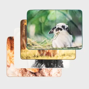 �������� ������ ���̺�����-5mm(DTP����)